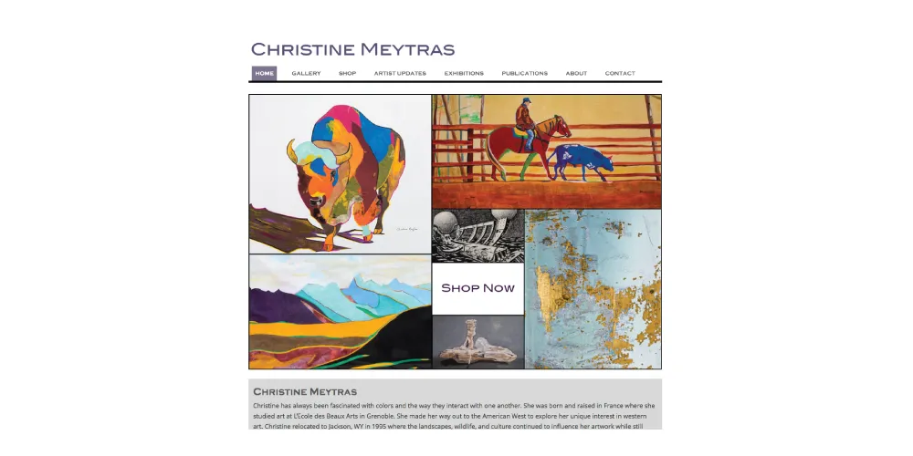 website1