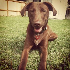 Sadie