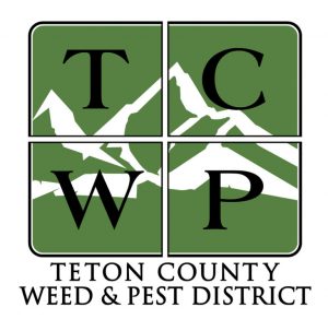 Outdated TCWP logo