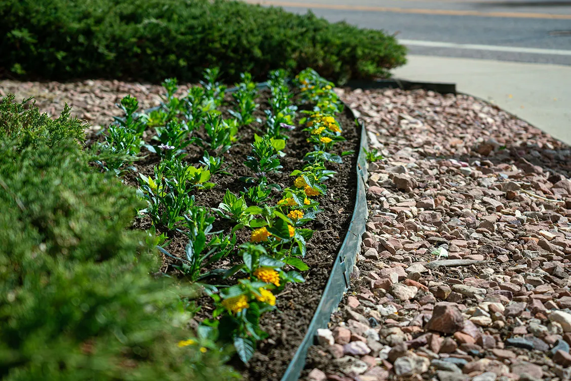 web designers boulder