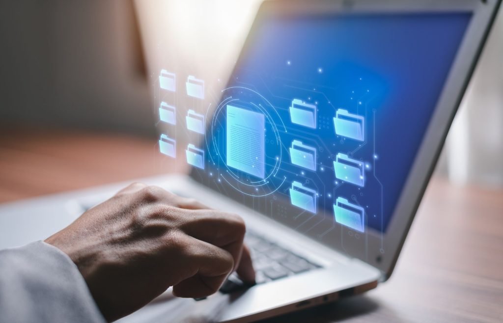 content management and custom database services